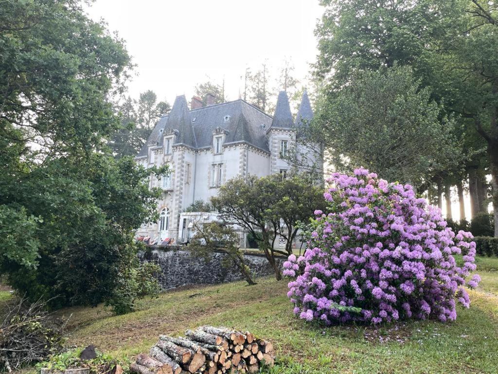 Bed and Breakfast Chateau Maleplane Сен-Леонар-де-Нобла Экстерьер фото